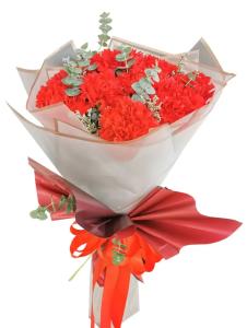 Carnation Bouquet Delivery to San-Juan