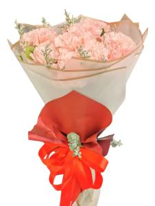 Carnation Flower Shop near San-Miguel